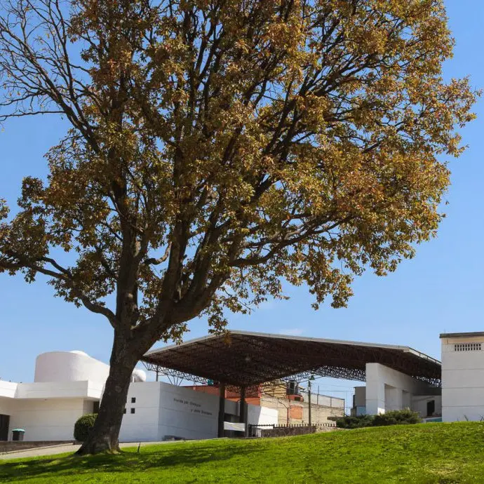 Lotes Preferentes Colina del Descanso