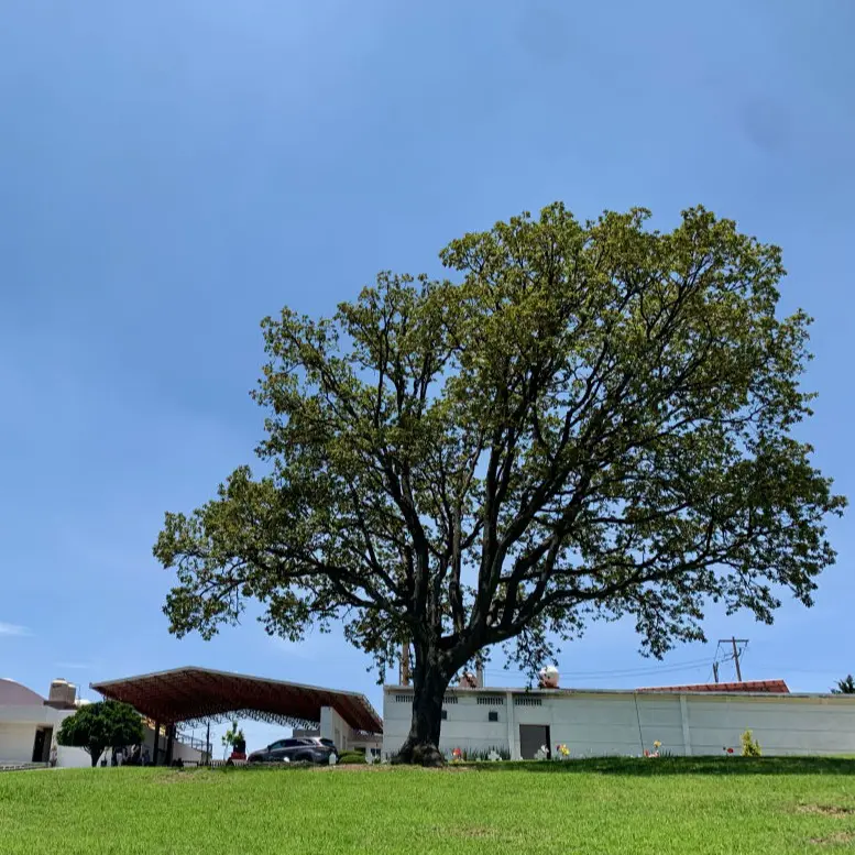 Jardines Preferentes Colina del Descanso